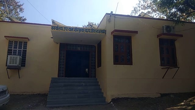 हादसे और वर्चस्व की जंग में हर माह एक पैंथर हार रहा जिदंगी की 'जंग'