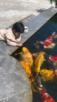 Baby Playing With Fishes | Cute Babies | Naughty Babies | Funny Babies #babies #cutebabies #beauty