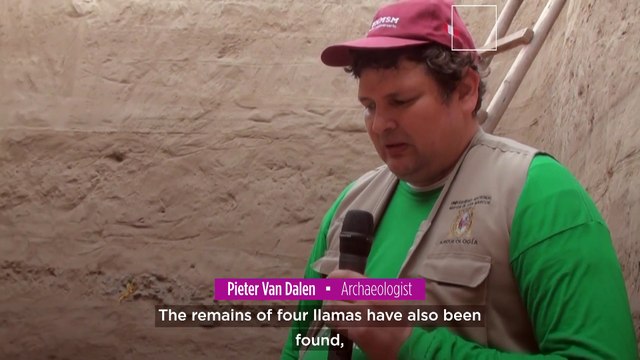 Peruvian archaeologists find pre-Incan tomb of Chancay culture leader left with four llamas