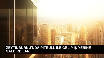 ZEYTİNBURNU'NDA PİTBULL İLE GELİP İŞ YERİNE SALDIRDILAR
