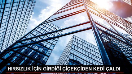 HIRSIZLIK İÇİN GİRDİĞİ ÇİÇEKÇİDEN KEDİ ÇALDI