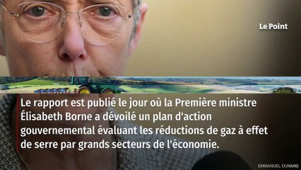 La Cour des comptes recommande de réduire le cheptel de vaches français