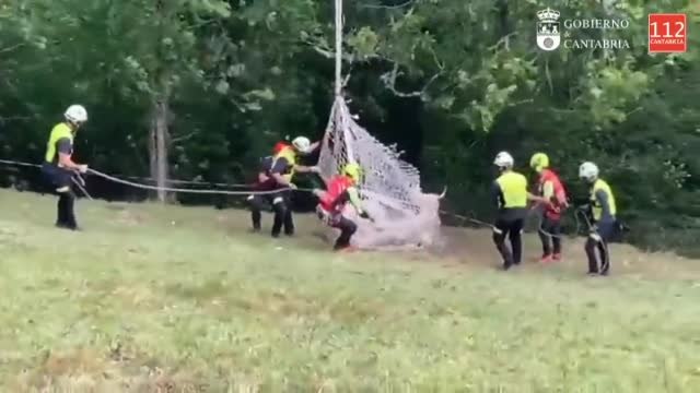 Rescatan en helicóptero a una vaca con una pata rota en las montañas de Cantabria