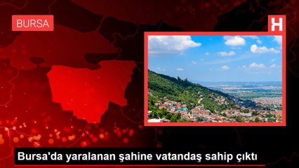 Bursa'da yaralanan şahine vatandaş sahip çıktı