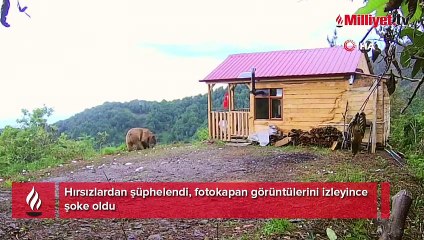 Hırsızlardan şüphelendi, fotokapan görüntülerini izleyince şoke oldu