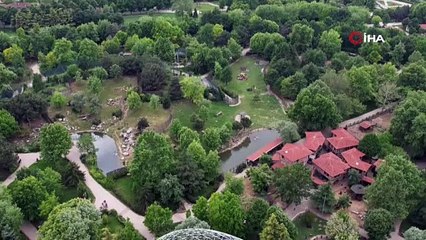 Zoopark’taki kaplumbağalara Dünya Kaplumbağa Günü’nde ziyafet