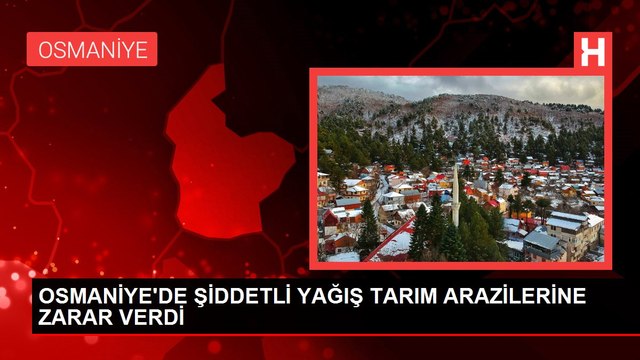 OSMANİYE'DE ŞİDDETLİ YAĞIŞ TARIM ARAZİLERİNE ZARAR VERDİ