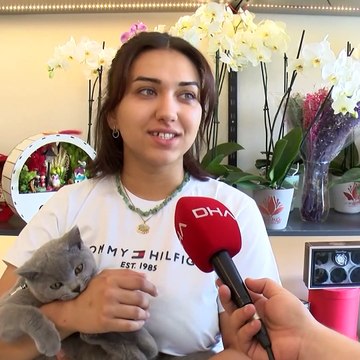 Akıllara durgunluk veren hırsızlık! Para ve bilgisayar yetmedi kedi çaldı