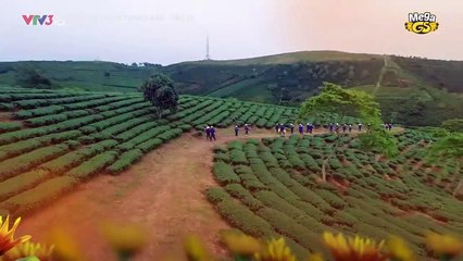 Khám Phá Tập 37 Hoa Cúc Vàng Trong Bảo 🌼 - Câu Chuyện Đầy Bí Ẩn Và Hấp Dẫn