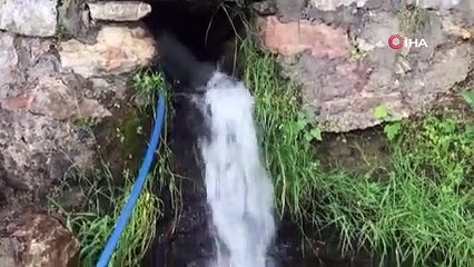 Bin 300 rakımda yetiştirilen çilek çiftçinin yüzünü güldürüyor