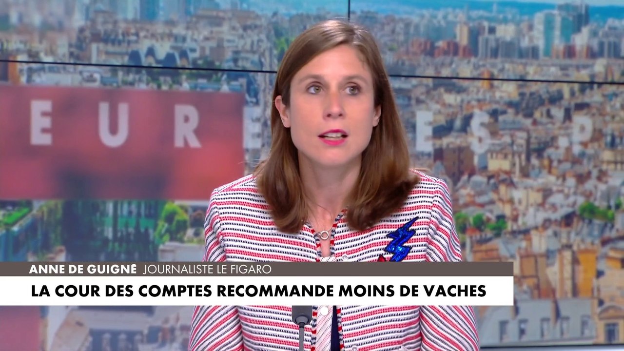 Anne de Guigné «C'est très impopulaire mais l'idée d'ouvrir le débat