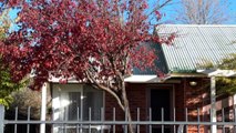 Constable who tasered 95 years old in Cooma suspended from duty