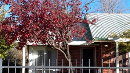 Constable who tasered 95 years old in Cooma suspended from duty