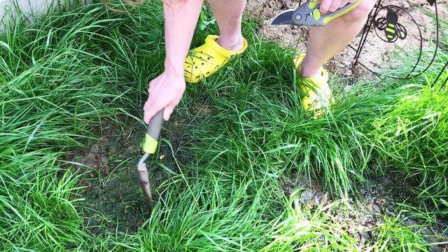 Builders turned my garden into stinking toxic swamp and it is killing my dogs