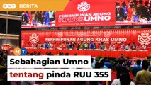 Sebahagian Umno tentang usaha pinda RUU 355, dakwa Hadi
