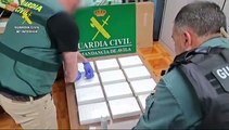 Imágenes de la droga incautada en Ávila del Cártel de Jalisco Nueva Generación
