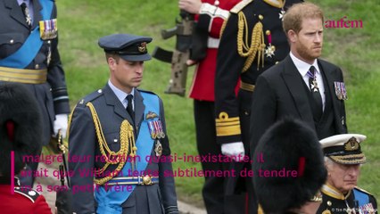 Video herunterladen: Prince William : cette main tendue surprenante envers Harry que personne n'avait vue