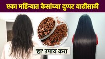 केसांच्या दुप्पट वाढीसाठी रामबाण उपाय | How to Make Your Hair Grow Faster | Hair Growth Tips | MA2