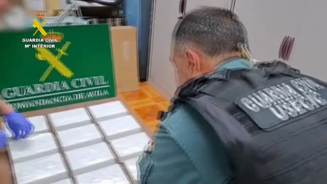 Dos detenidos en Ávila que transportaban 12 kilos de cocaína del Cartel de Jalisco de Nuevo México