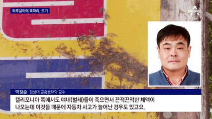 벌레 부른 때이른 더위…전국서 습격