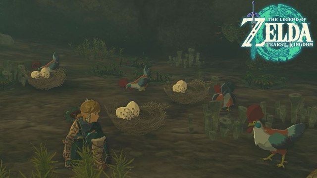 Les oeufs des cocottes Zelda Tears of the Kingdom : Où trouver des œufs de volatile pour compléter cette mission ?