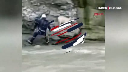 Rusya’da uçurumdan düşen keçi, böyle kurtarıldı