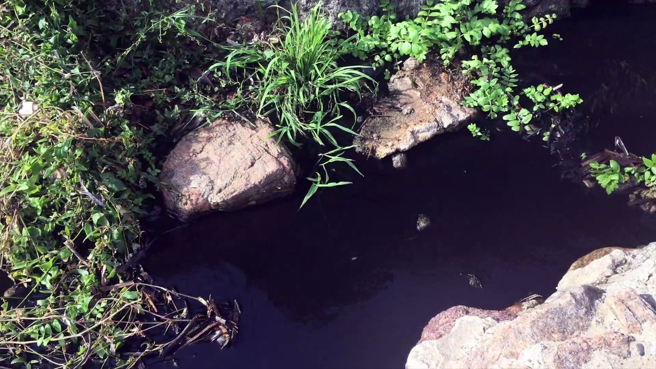 la POLLUTION mais quelle pollution...?