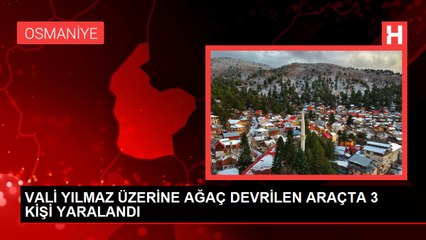 VALİ YILMAZ ÜZERİNE AĞAÇ DEVRİLEN ARAÇTA 3 KİŞİ YARALANDI