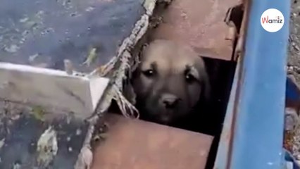 Une vieille machine rouillée et à l'abandon cache un secret qui lui brise le cœur (vidéo)