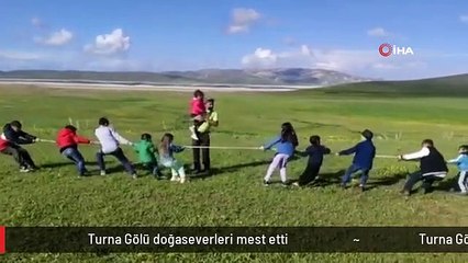 Turna Gölü doğaseverleri mest etti