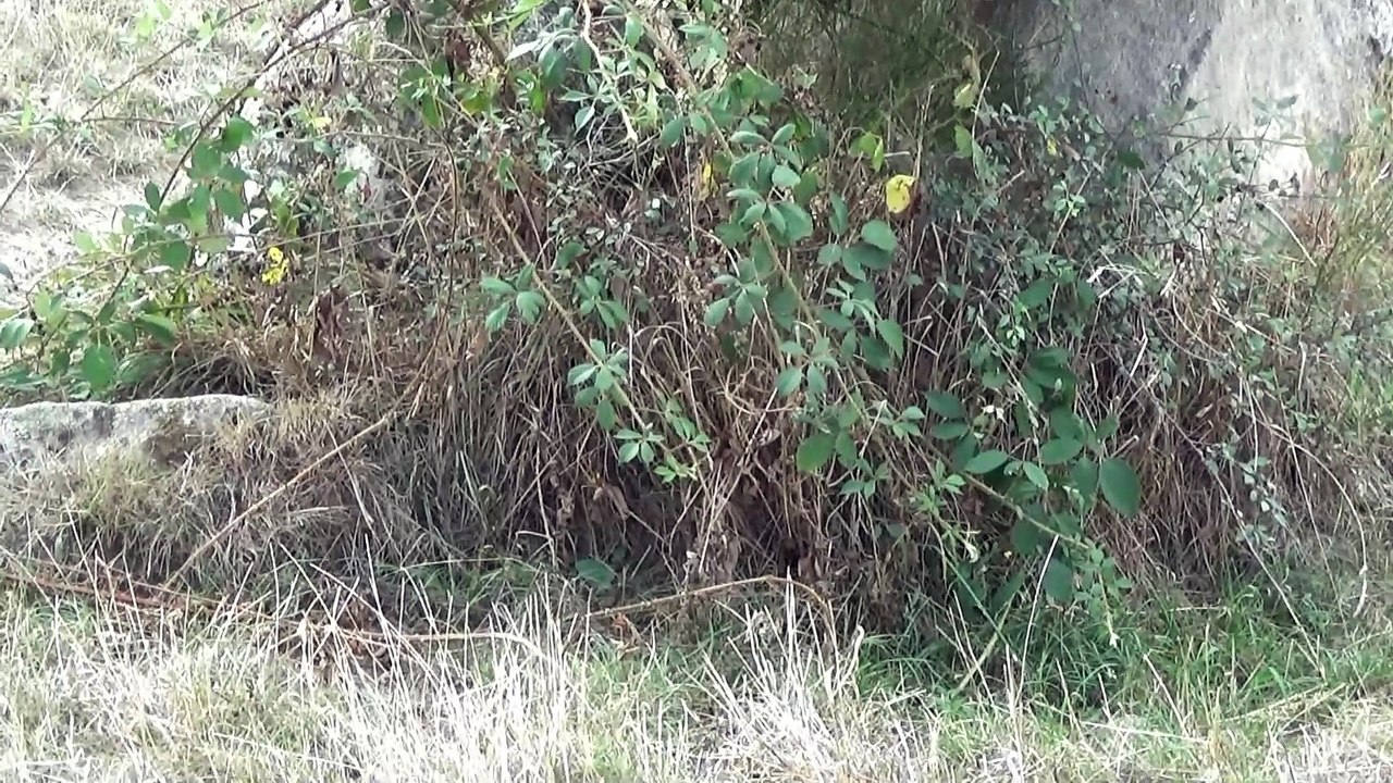 DolmenMarchain-Part1b