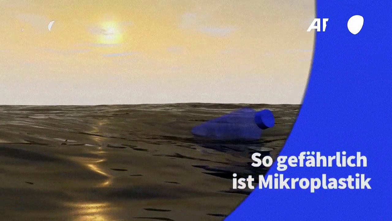 Videografik: So gefährlich ist Mikroplastik