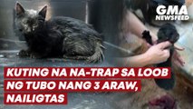 Kuting na na-trap sa loob ng tubo nang 3 araw, nailigtas | GMA News Feed