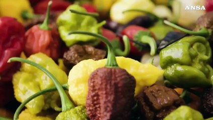 Amazon, al via le giornate del Made in Italy digitale