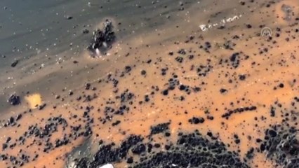 İzmir Körfezi için kirlilik uyarısı