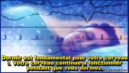 Ce qui se passe dans votre cerveau quand vous dormez