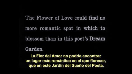 Buster Keaton - 'Neighbors'