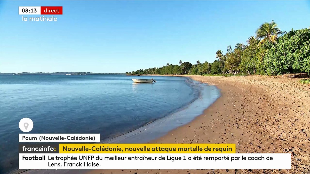 Un homme qui pratiquait la pêche sous-marine est mort après une attaque de requin en Nouvelle-Calédonie - La deuxième attaque mortelle dans l’archipel français du Pacifique sud depuis le début de l’année