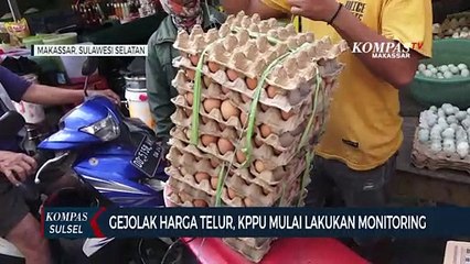 Gejolak Harga Telur, KPPU Mulai Lakukan Monitoring