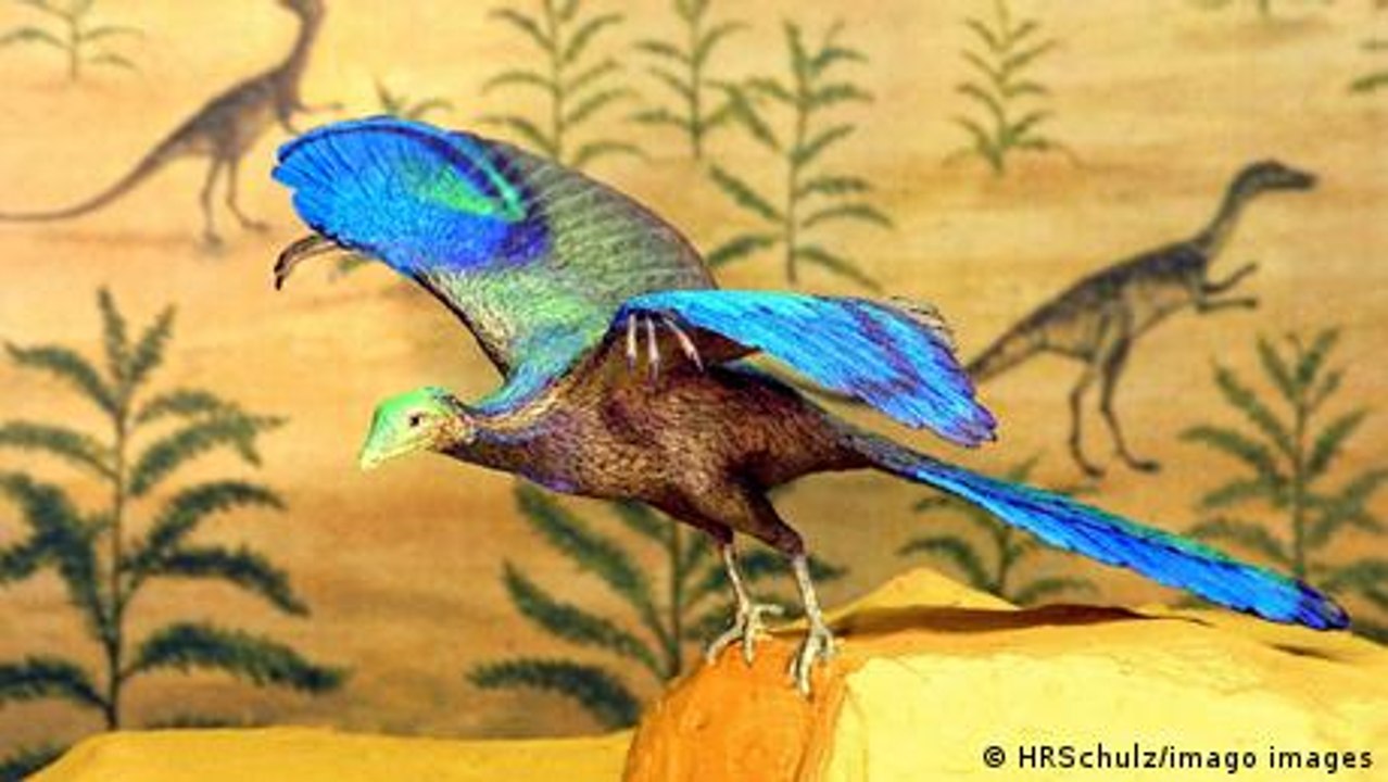 Was Kohlendioxid mit den Dinosauriern zu tun hat