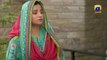 Behroop Episode 37        Zubab Rana - Asad Siddiqui - Beenish Chauhan   FLO Digital