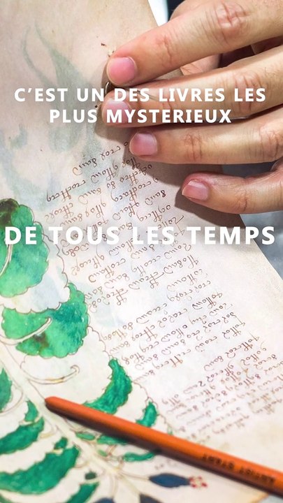Le Manuscrit de Voynich, une des plus grandes enigmes de l'histoire.