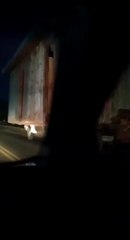 Motorista de caminhão é flagrado pela PRF transportando uma casa