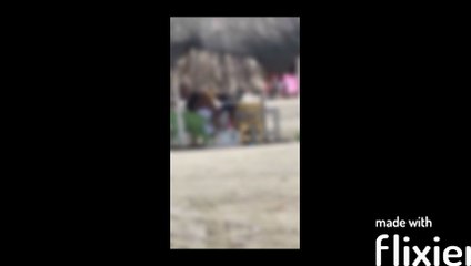 Pareja es captada teniendo intimidad en plena playa