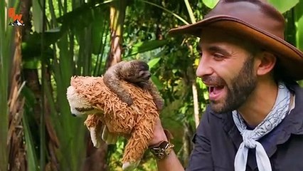 WORLD FAMOUS SLOTH…gives tiny kisses!