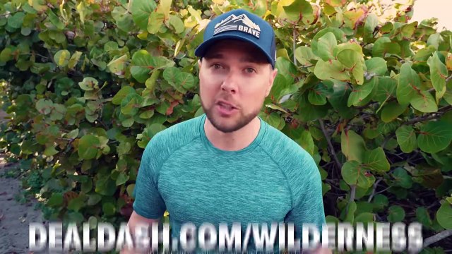 I Swam with 100 Manatees!