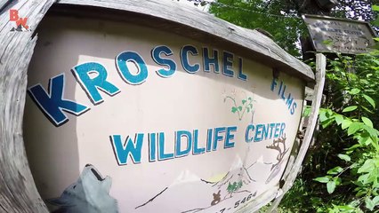 I KISSED A MOOSE, and I LIKED IT!