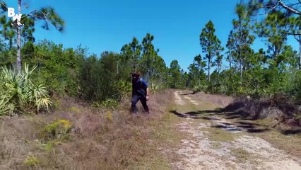 Reptilian Invaders in Florida!