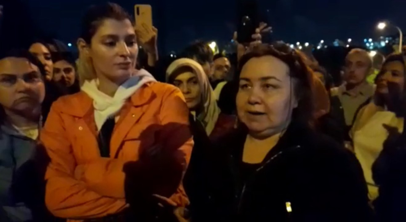 İstanbul Başakşehir’de vahşet: 20 kedi ölü bulundu