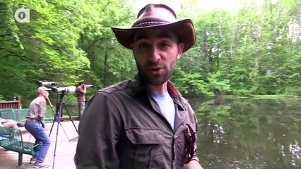 The Beast of Blacklick Woods - Dragon Tails Episode 2